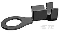 AM-RINGZUNGE OIF-160529-3 AM-RINGZUNGE OIF-160529-3