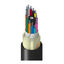 TF-SLD-144-RR5N TF-SLD-144-RR5N