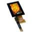 EA TFT009-81AITC EA TFT009-81AITC