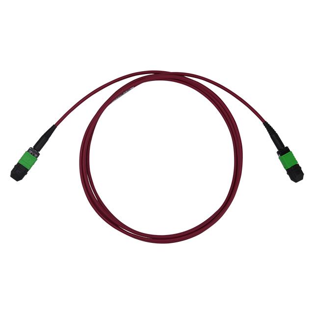 C50G-8162-1FT C50G-8162-1FT